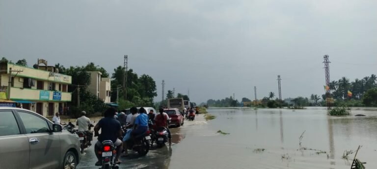 Villupuram flood relief · 2024 project photograph