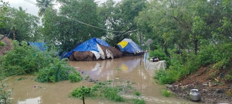 Villupuram flood relief · 2024 project photograph